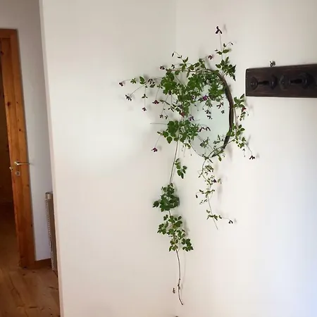 Holiday home Casa Cecilia